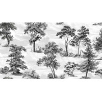 Керамогранит Vallelunga Decorandum Saltus 50x100