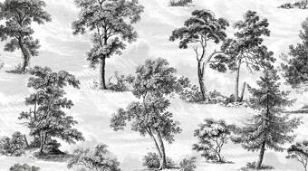 Керамогранит Vallelunga Decorandum Saltus 50x100
