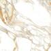Керамогранит Velsaa Calacata Paonazzo Satin 60x60
