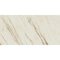 Керамогранит Versace Marble Bianco Calacatta Lap 58.5x117.5