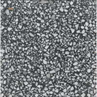 Микс Via Terrazzo Terrazzogrob 900060 20x20