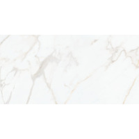 Керамогранит Villeroy Boch Nocturne White Gold Full Lappato Rect 60x120