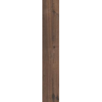 Керамогранит VitrA Aspenwood Cherry R10A 20x120