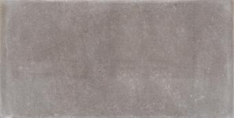 Керамогранит Viva Dotcom Mud Naturale 30x60