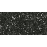 Керамогранит Vives Luna R Negro Pulido 59.3x119.3