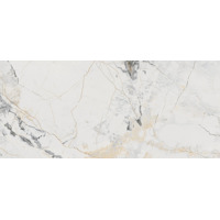 Керамогранит Vives Marblelous Erdek-R Pulido 59.3x119.3