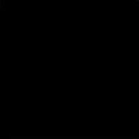 Керамика Vives Monocolor Negro 20x20