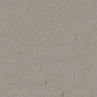 Керамогранит Vives Pangea Gea R Nuez Antibacterial 80x80