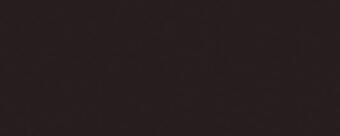 Керамика Vives Satinados Negro Mate 20x50