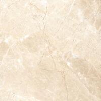 Керамогранит Vives World Flysch SPR Beige 59.3x59.3