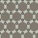 Керамогранит Winckelmans Complex Mosaics Special Design Net 002 Hex-2.5 3.8Mm 100x100