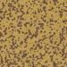 Керамогранит Winckelmans Porphyry Cab.5 Brown 504 5x5
