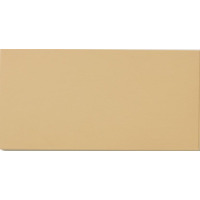 Керамогранит Winckelmans Simple Colors Special Rct.10 Cognac Cog 10x20