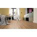 Виниловые полы Wineo 800 wood (5G) Клен Медовый Теплы DLC00081 - фото в интерьере