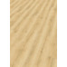 Виниловые полы Wineo 800 wood Дуб Пшеничный Золотой DB00080 - фото в интерьере