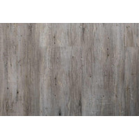 Виниловые полы Wineo 800 wood Сосна Рига Яркая DB00082