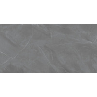 Керамогранит Zien Grey Pulpis Pol 119.8x239.8