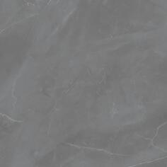 Керамогранит Zien Grey Pulpis Pol 59.8x59.8