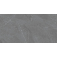 Керамогранит Zien Grey Pulpis Sat 59.8x119.8