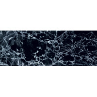 Стекло Zien Sophisticated Dekor Szklany Black 32.8x89.8