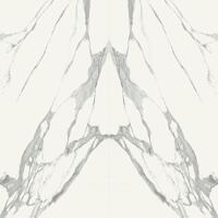 Керамогранит Zien Specchio Carrara A Pol 119.8x239.8