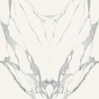 Керамогранит Zien Specchio Carrara B Pol 119.8x239.8