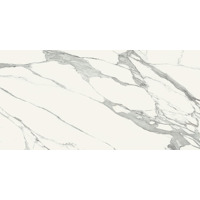 Керамогранит Zien Specchio Carrara Sat 119.8x274.8