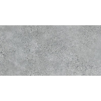Керамогранит Zien Terrazzo Grey Mat 59.8x119.8