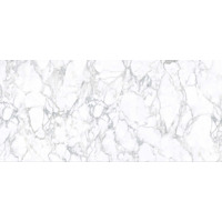 Керамогранит Zodiac Ceramica Porcelain Arabescato Vagli Gloss 120x260