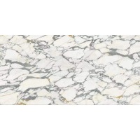 Керамогранит Zodiac Ceramica Porcelain Breccia Medicea-Pro Gloss 160x320