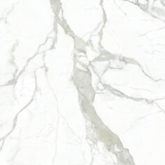 Керамогранит Zodiac Ceramica Porcelain Calacatta Bianco Gloss 120x120