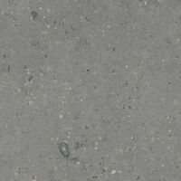 Керамогранит Плитка Гранитея G213-Arkaim Grey 600х600 MR (1,44 кв.м.)