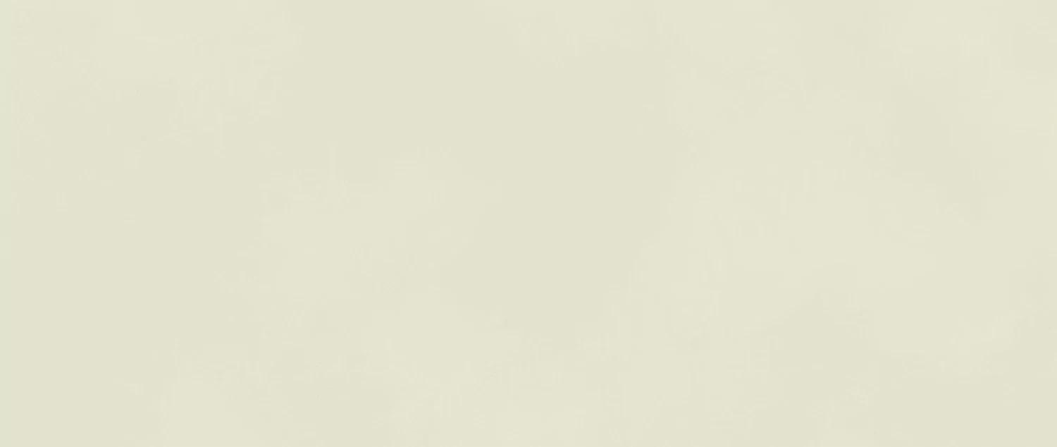 Керамика Atlas Concorde Boost Color Salix 50x120  - детальное изображение