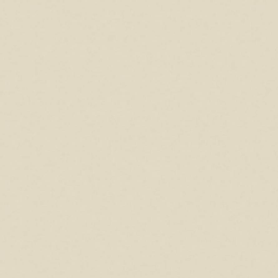 Керамогранит Atlas Concorde Greencolors Avorio 20x20  - детальное изображение
