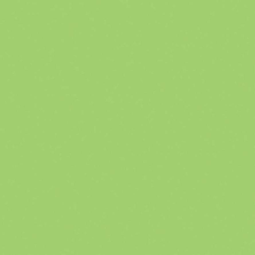 Керамогранит Atlas Concorde Greencolors Lime 20x20  - детальное изображение