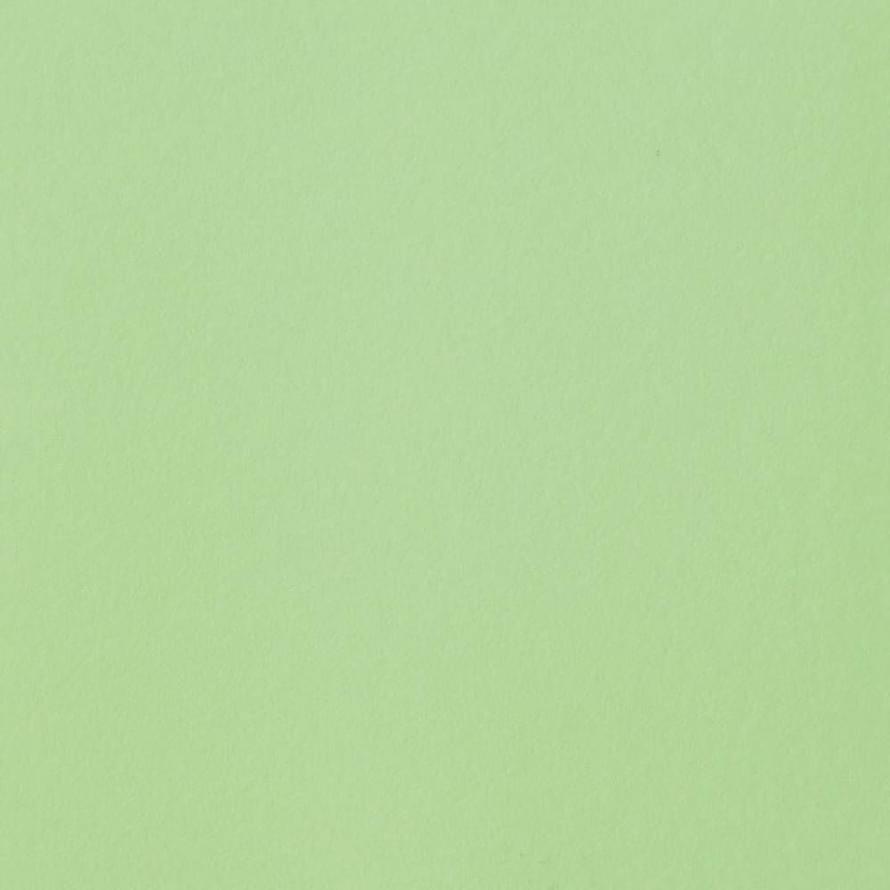 Керамогранит Atlas Concorde Greencolors Menta Grip 20x20  - детальное изображение