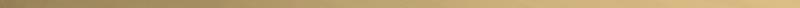 Керамогранит Colorker Odissey Listello Line Gold 1x100  - детальное изображение