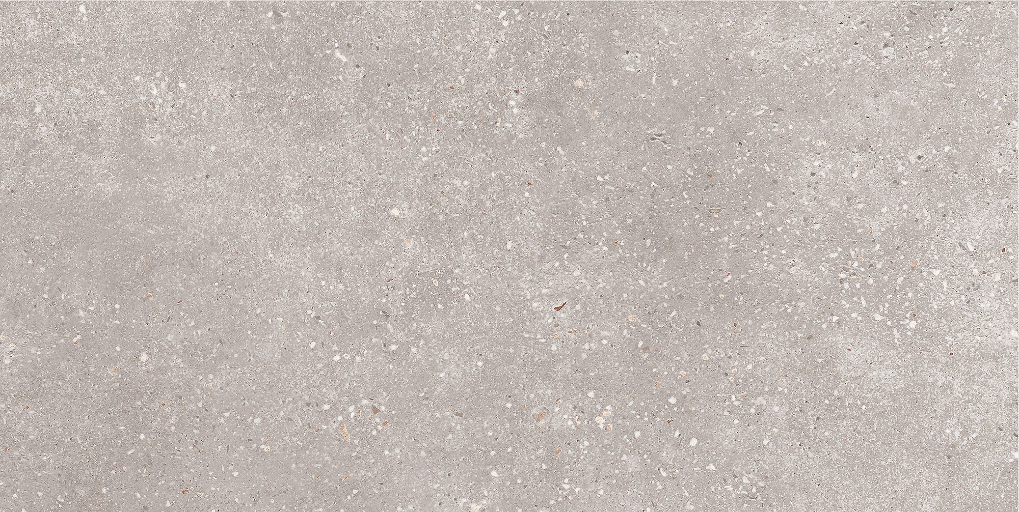 GT183VG Керамогранит Coral Rock_GT Сер. 30x60 _ 158,32  - детальное изображение